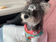 -FAELING PETS美天灵宠物(合生汇店)