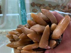 -南戴河海滨市场