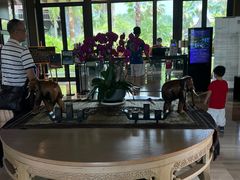 -广州都喜泰丽温泉度假酒店