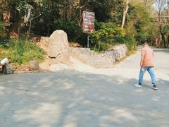 -紫金山山顶公园
