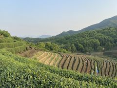 -龙坞茶村