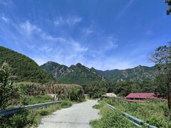 -大连天门山国家森林公园