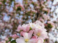 -济南国际园博园