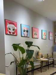 点击看大图 -洗脸猫·洗脸吧