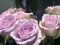-BOBLOOM花店(宝龙旭辉广场店)
