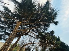 -中山路壹号传奇club·啤酒花园餐厅
