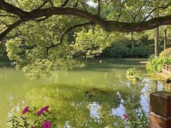 -杭州花家山庄