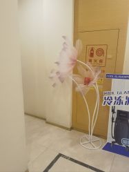 -铂特丽医美·眼鼻整形·光电美肤·注射抗衰