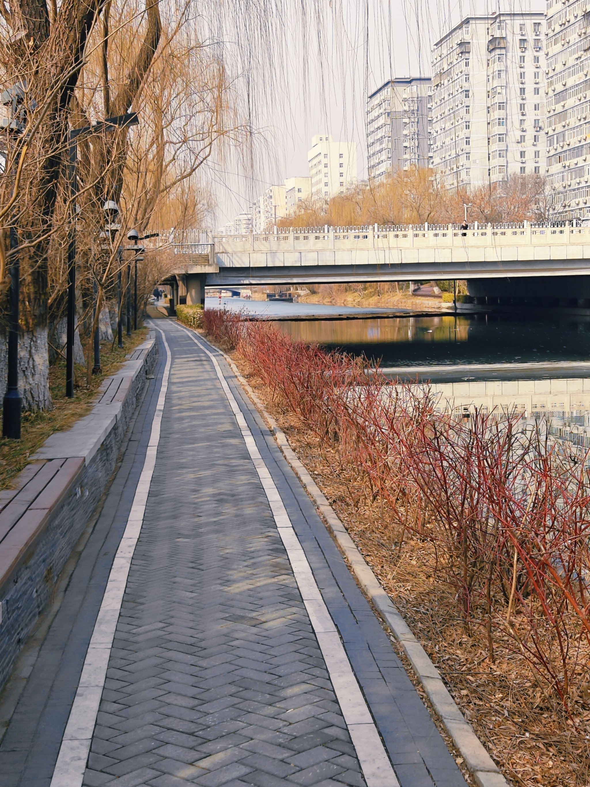 北京南护城河步道图片