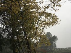 景点-邓小平故里