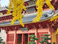 -上海东林寺(金山区)