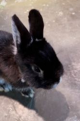 -Zoolung Zoolung动物主题公园(海信广场店)