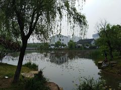 -尚贤河湿地