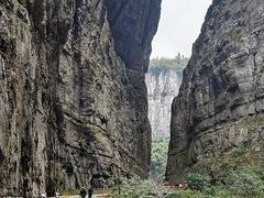 -重庆武隆天生三桥风景区-神鹰天坑