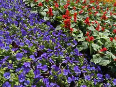 -石家庄市植物园