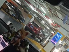 -莘庄龙之梦停车场