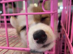 -远洋未来广场(育慧北路店)