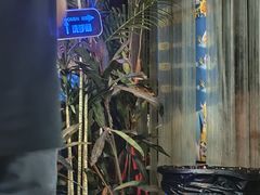-杨合林啊兰烤鱼