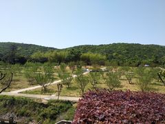 -龙寺生态园