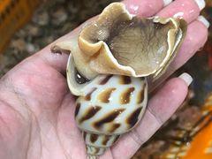 -沙田台山海鲜·酣客酒窖