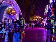 -大连海昌发现王国主题公园