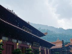 -深圳仙湖植物园