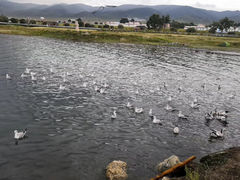 -青海湖二郎剑景区