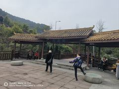 -铁山坪森林公园