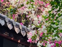 -深圳国际园林花卉博览园