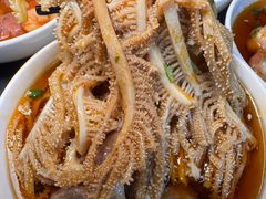 -皇城老妈火锅(琴台店)