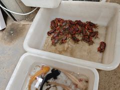 -三圣花乡旅游区