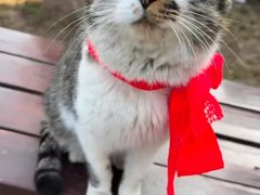 -终南山南五台景区