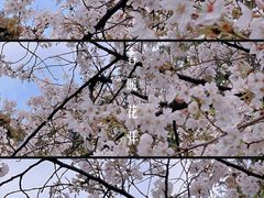 -鸡鸣寺