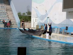 -北戴河圣蓝海洋公园