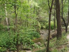 -玉渡山自然风景区