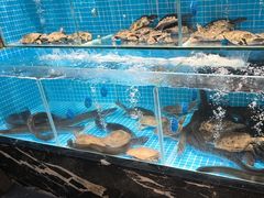 -山海•蒸汽活海鲜自助(皇庭广场店)