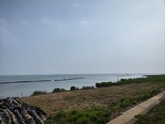 -贡湖湾湿地公园