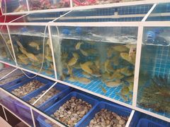 泥蜢-台山侨雅海鲜粥底火锅(台山侨雅花苑店)