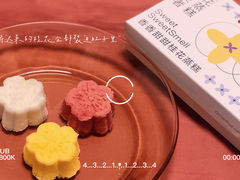 -阮大兴糕团(杭州西湖银泰百货店)