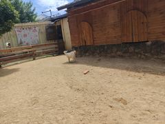 -HERRE·FARM 赫尔露营农场·团建聚会包场