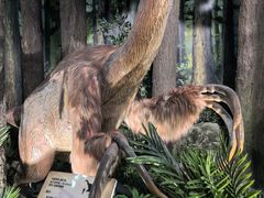 -陕西自然博物馆