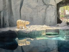 -珠海长隆海洋王国