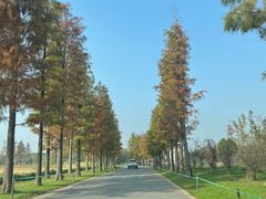 -广富林郊野公园