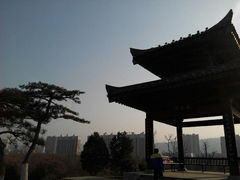 android_upload_pic-宝鸡植物园