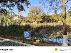 -青龙山国家森林公园