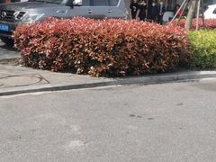 -鴻瑞興面馆(保利时光里店)