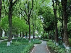 -重庆市江北嘴中央商务区中央公园