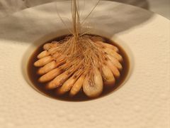 -民国红公馆(老门东店)