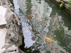 -荣府宴(南阳路店)