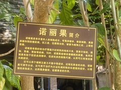 -西双版纳傣族园